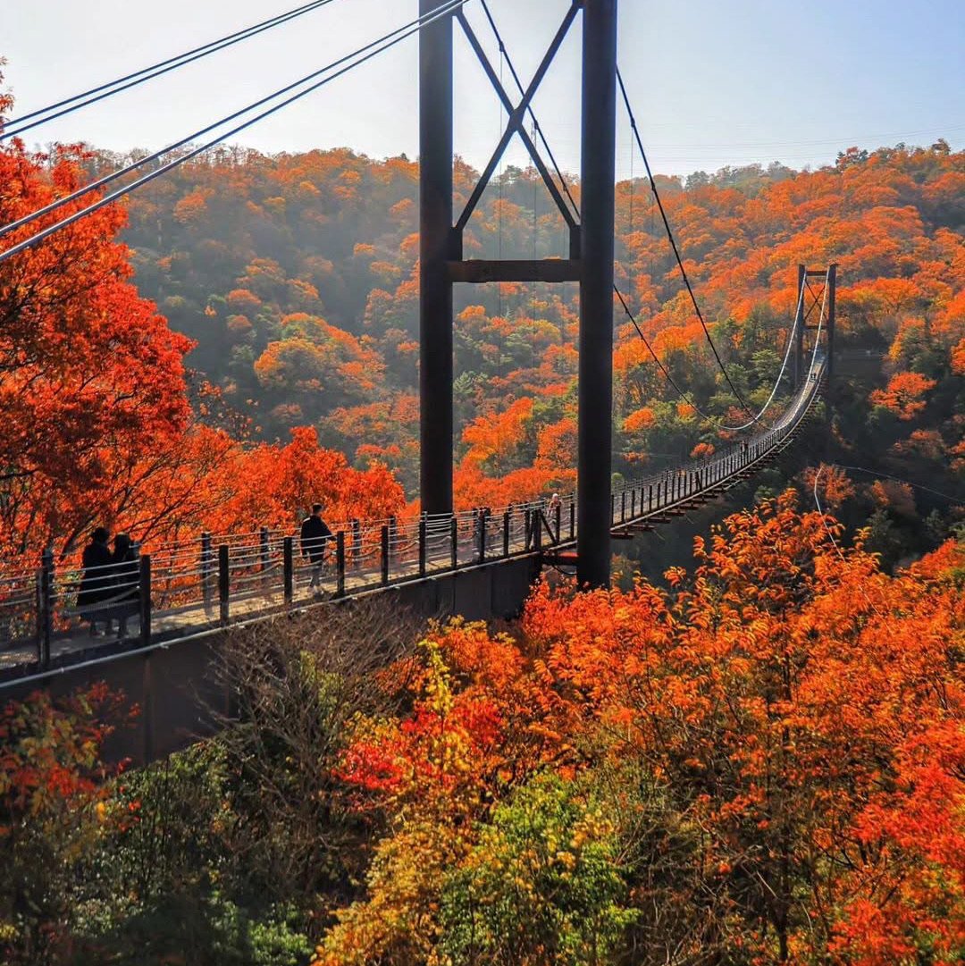 🌉 별의 그네 (호시노 부란코) 이미지 7